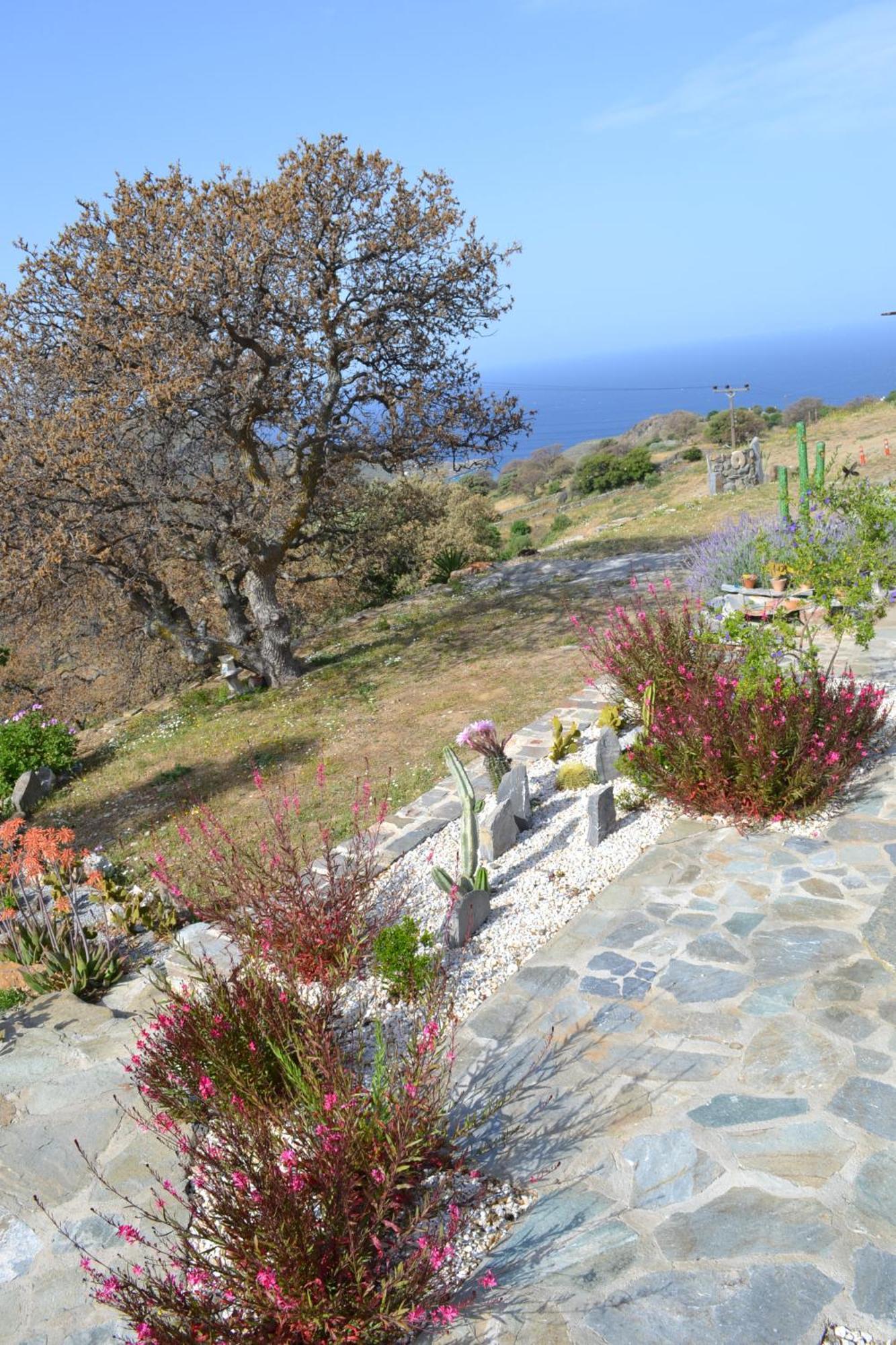 Apartment Rural *